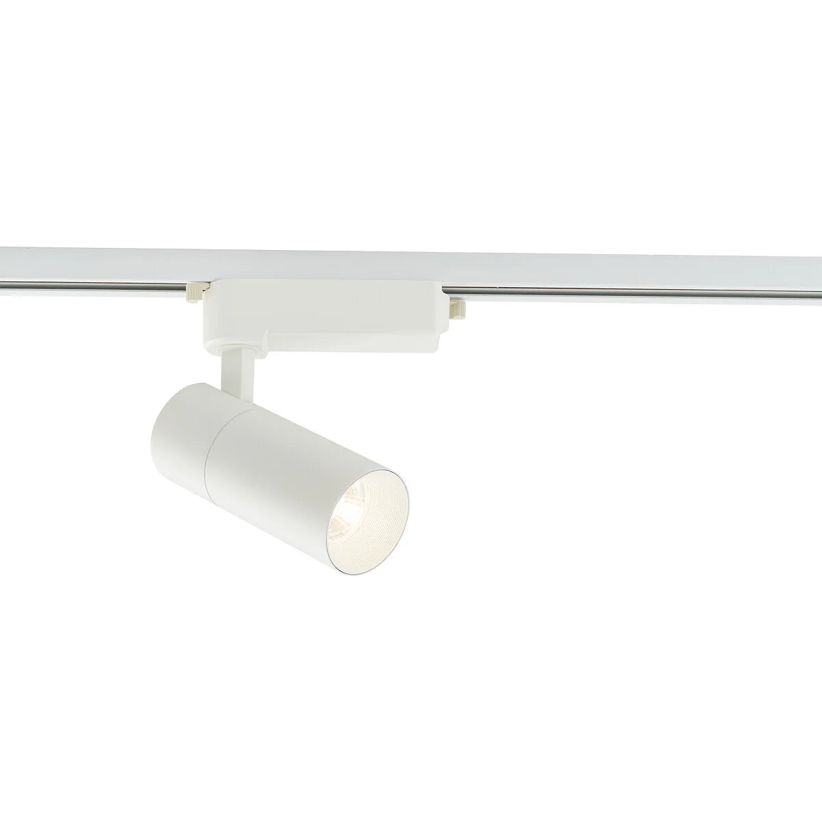 Proiector pe sina INES 20W