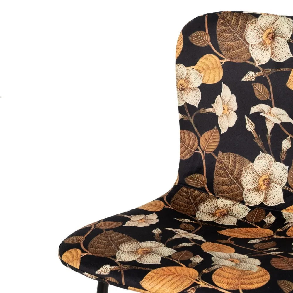 Set scaune 3+1 gratis LOSTAS SIMPLY