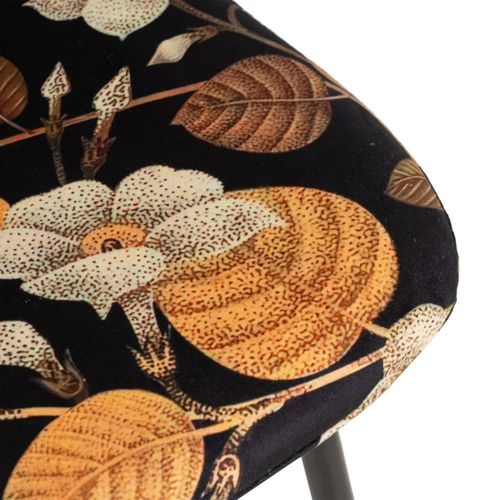 Set scaune 3+1 gratis LOSTAS SIMPLY