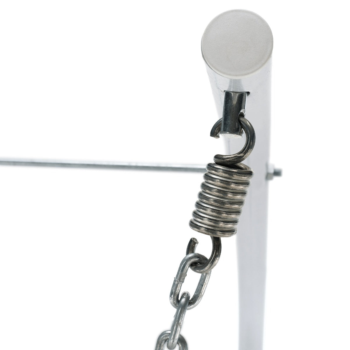 Balansoar MALVEA DOUBLE FLOWERS