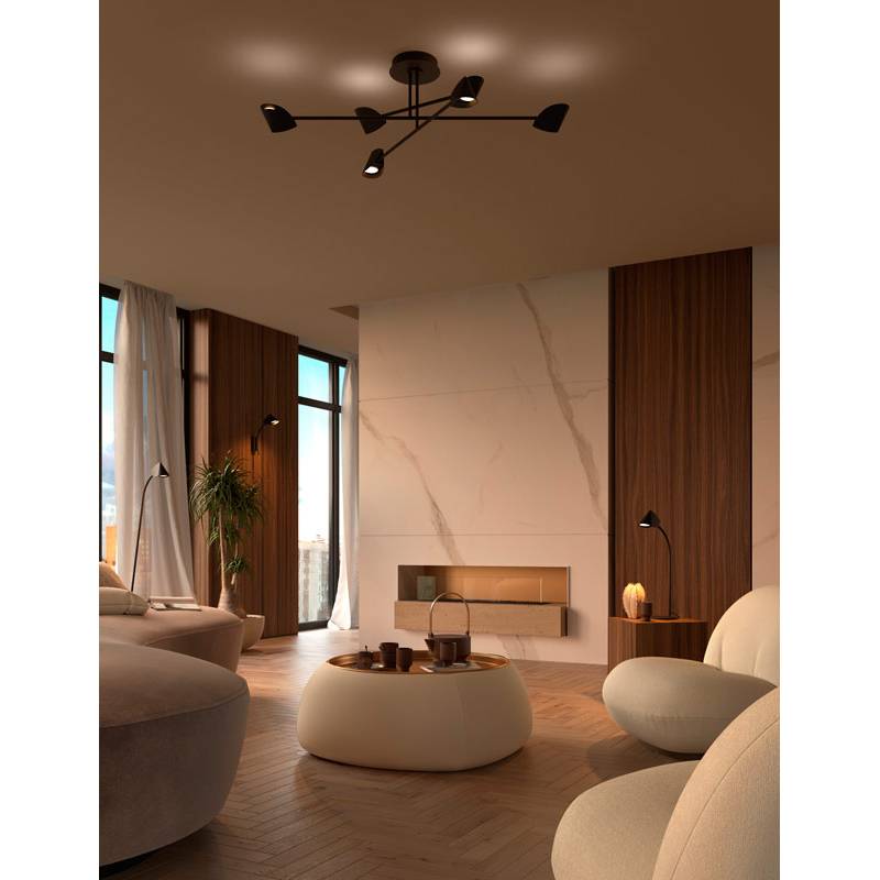 Plafoniera CAPINA BIG