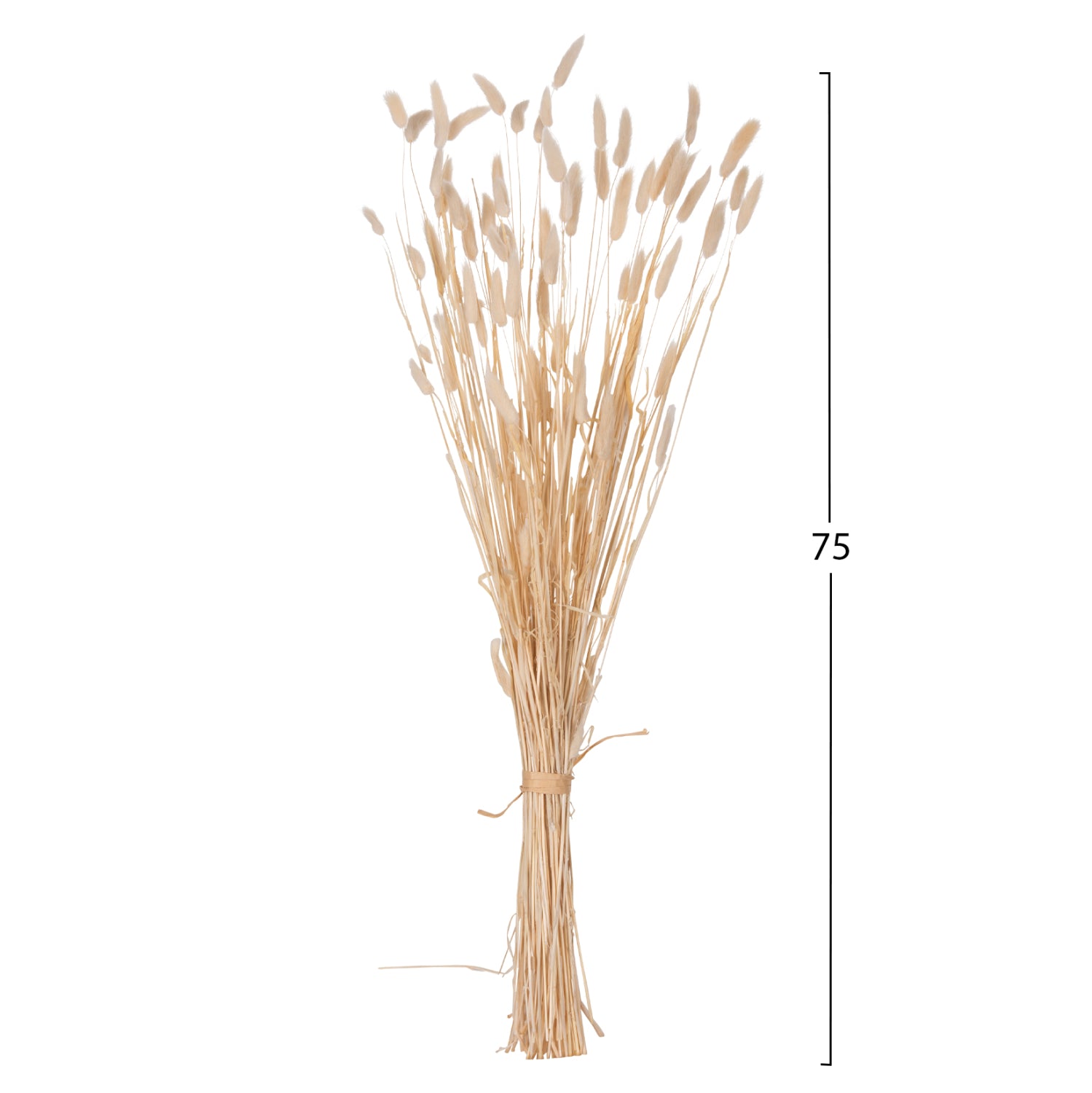 Flori uscate NANSI BOUQUET