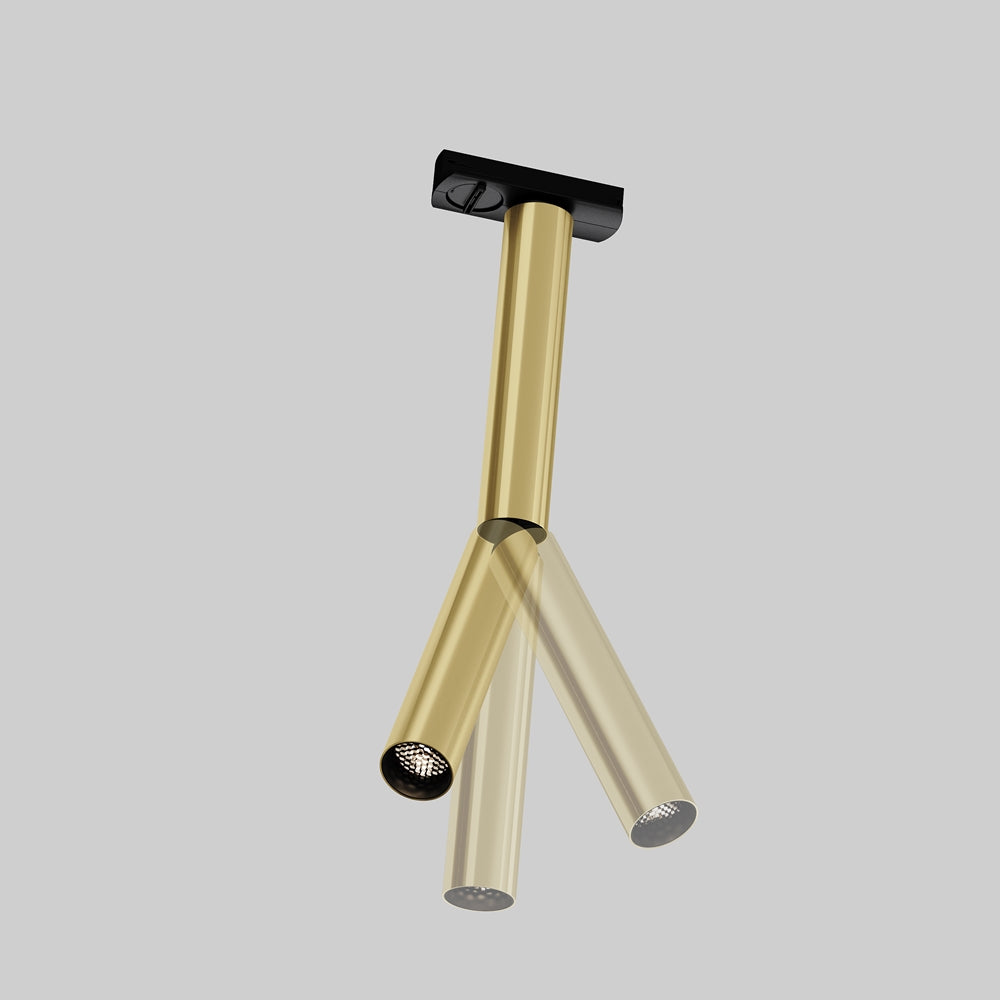 Proiector pe sina FOCUS DUAL