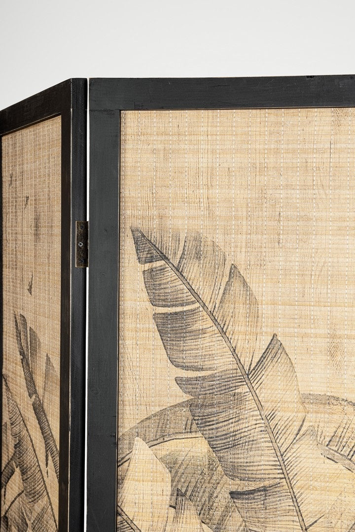 Separator camera QUARENS