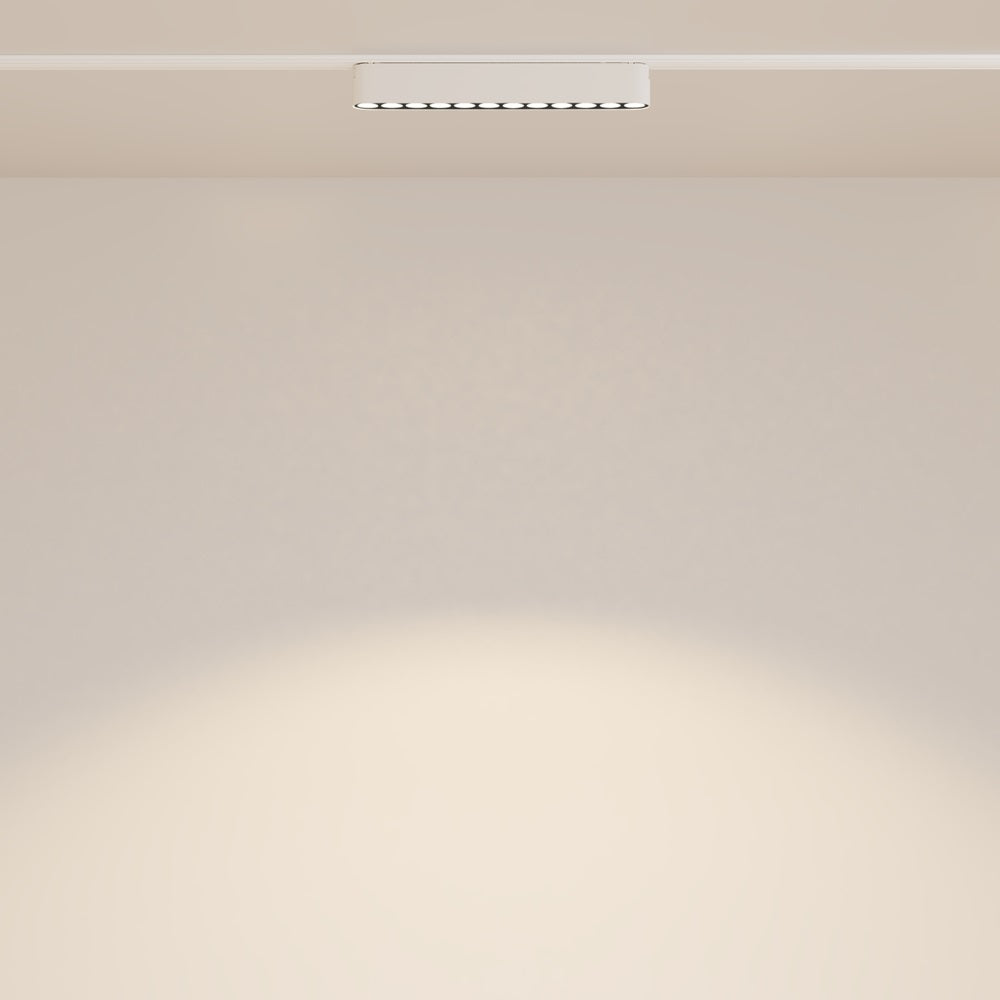 Proiector pe sina magnetica RADITY POINTS 22 CM