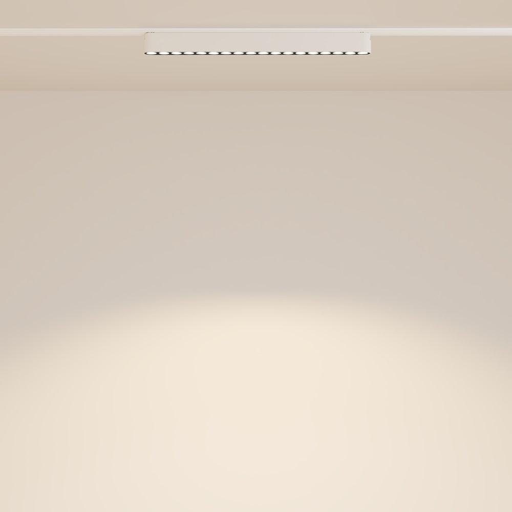 Proiector pe sina magnetica RADITY POINTS 33 CM