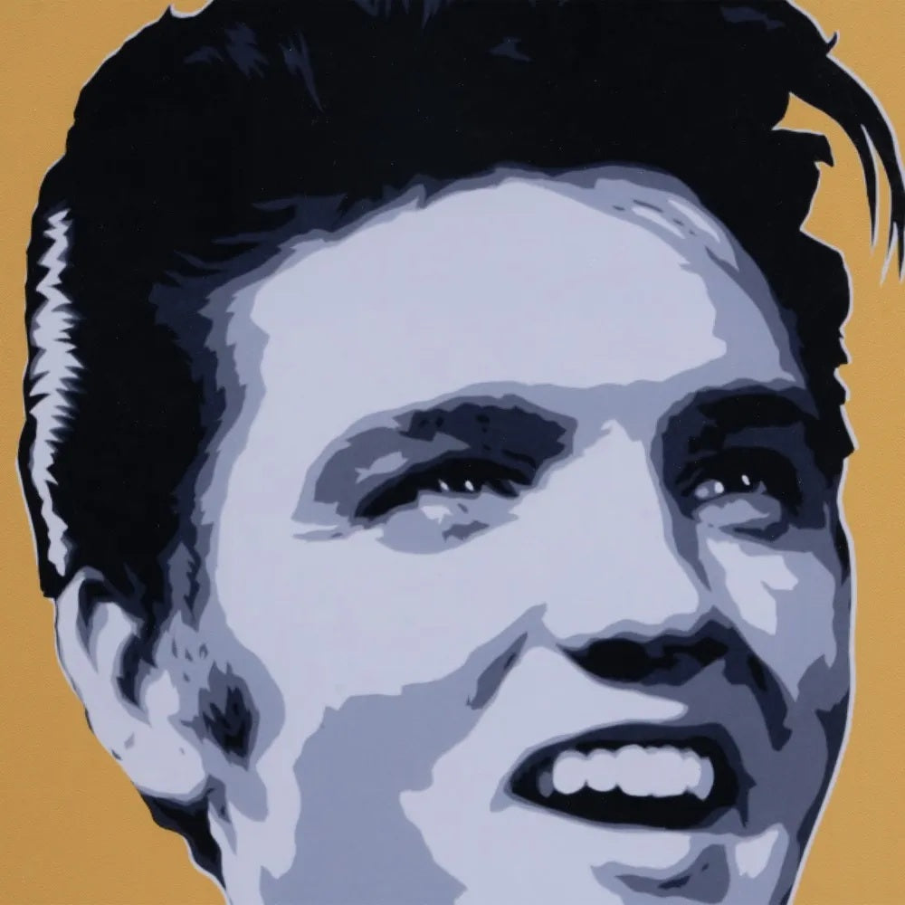 Set 2 tablouri RUNE POP ART 53 CM