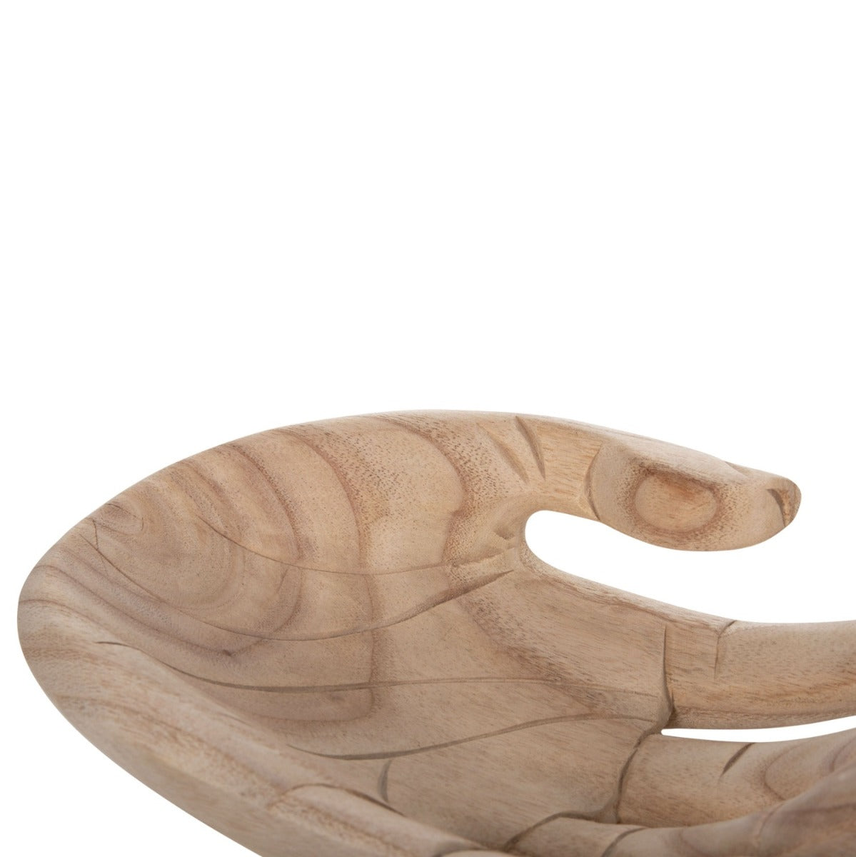 Decoratiune TELSAI LEFT HAND