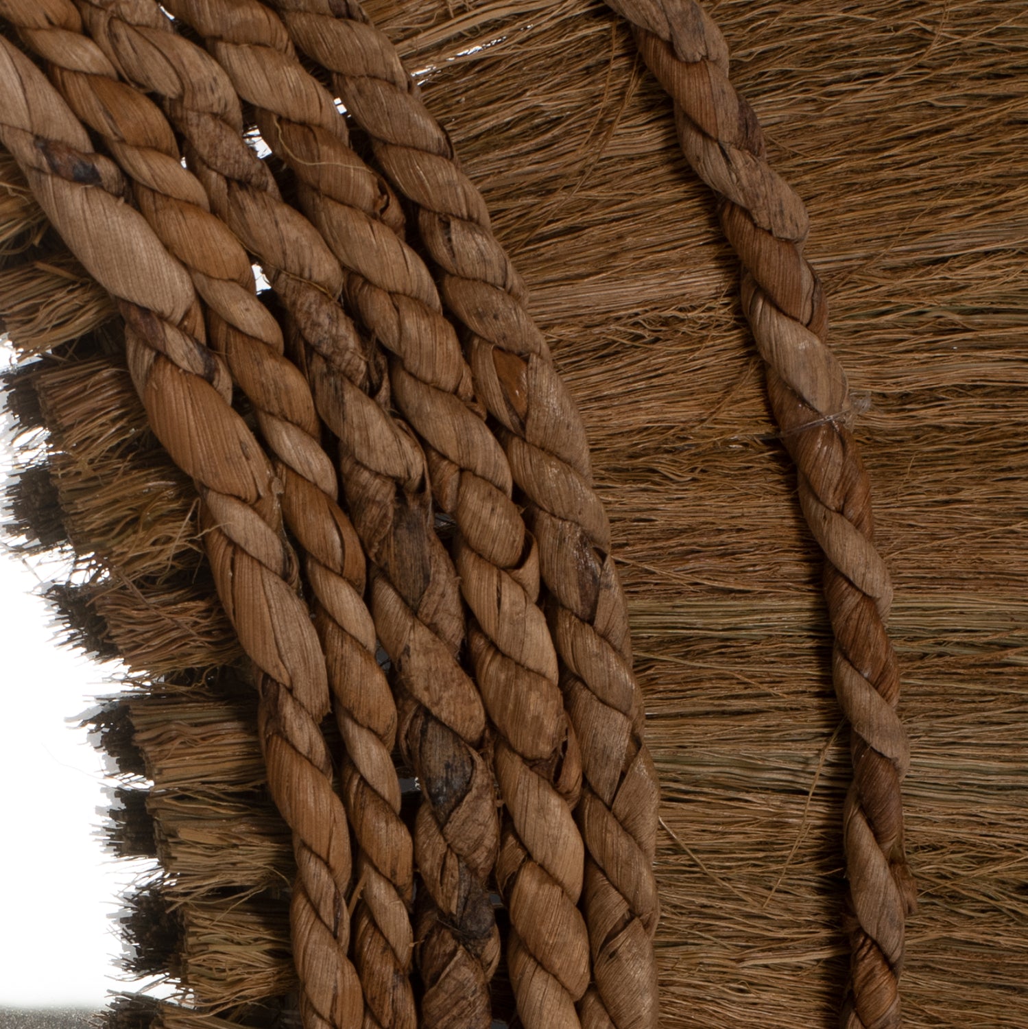 Oglinda de perete TRUSA BARK