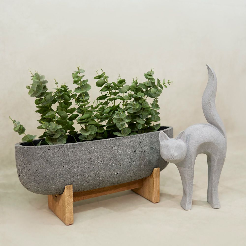 Decoratiune SARONA CAT H62 CM