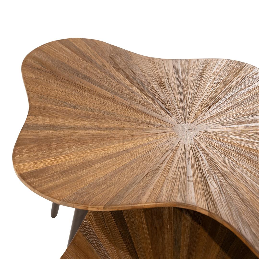 Set 2 masute de cafea FORSA 78x57x35/76x49x43 CM