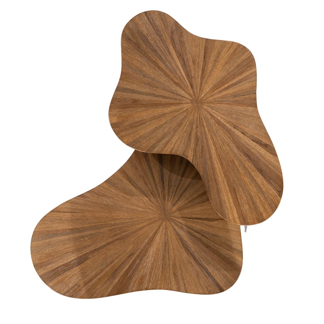 Set 2 masute de cafea FORSA 78x57x35/76x49x43 CM