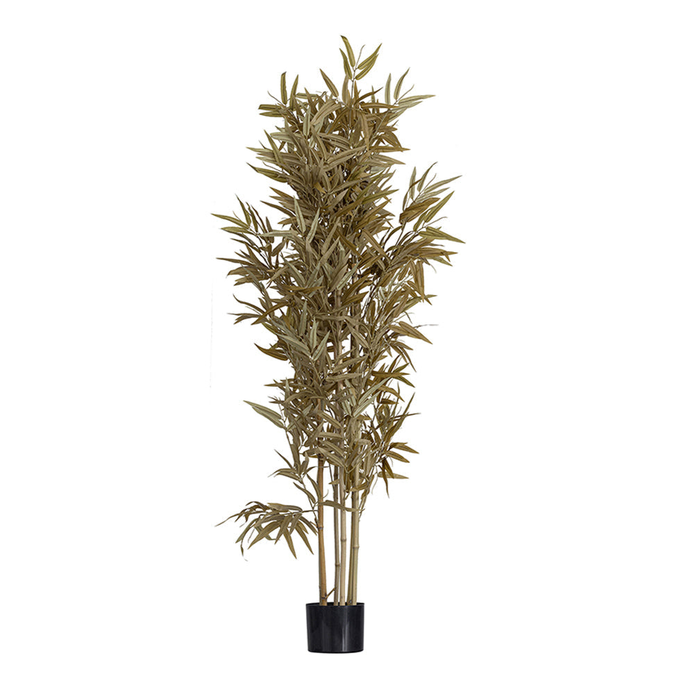 Planta artificiala BAMBOO - P