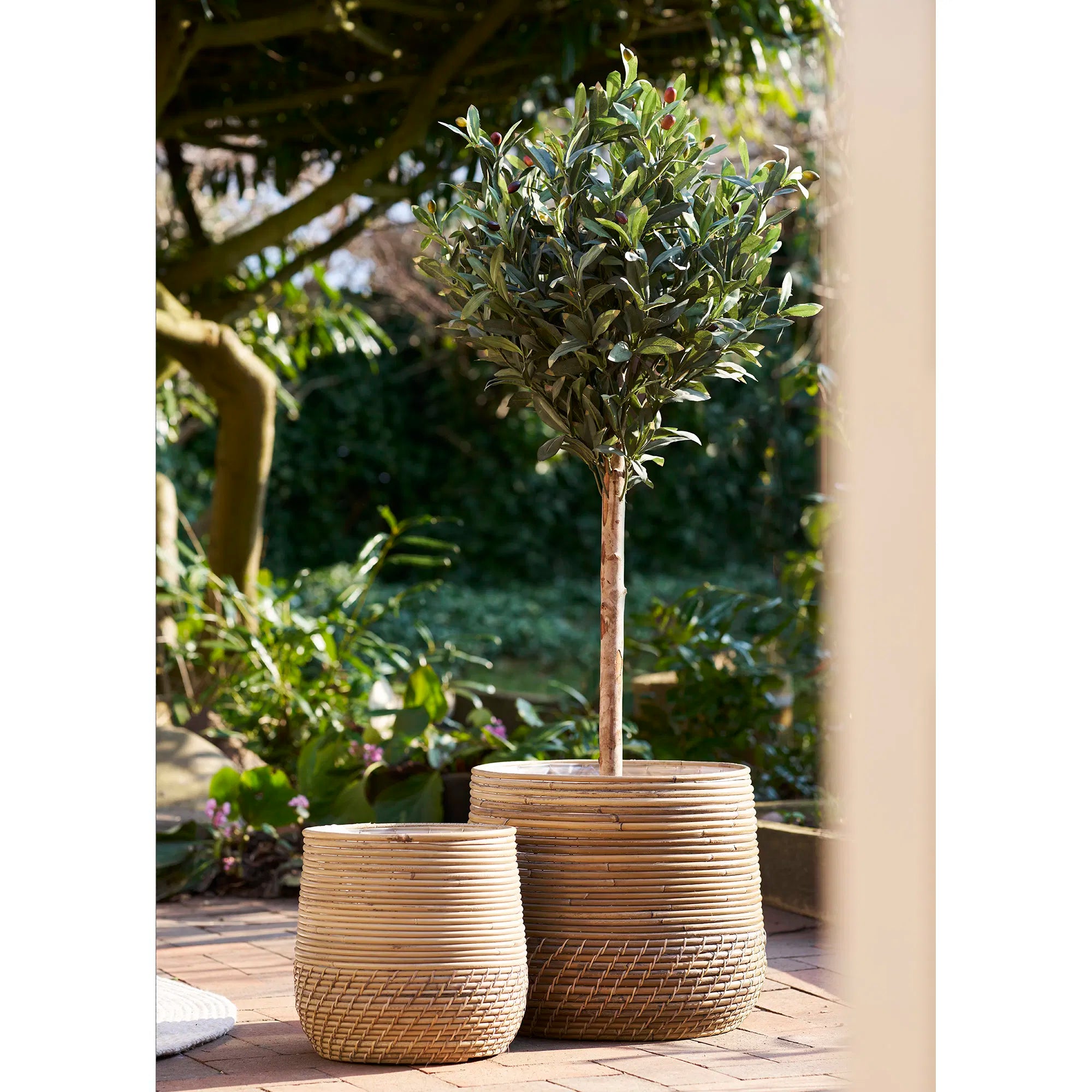 Set 2 cosuri decorative ZOLMIRA