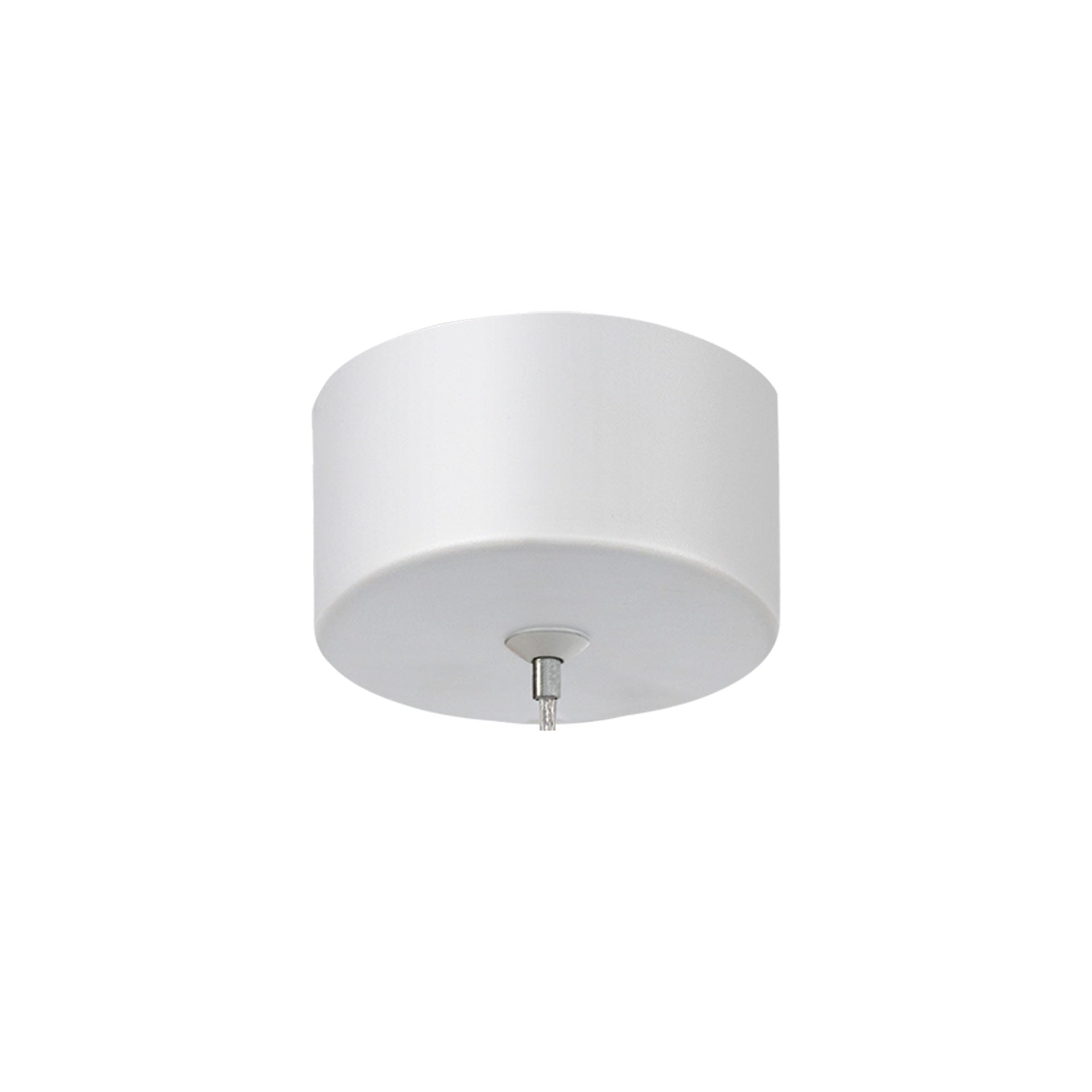 Lampa suspendata FORGAZ