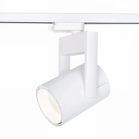 Proiector pe sina 4L RIMA 25W