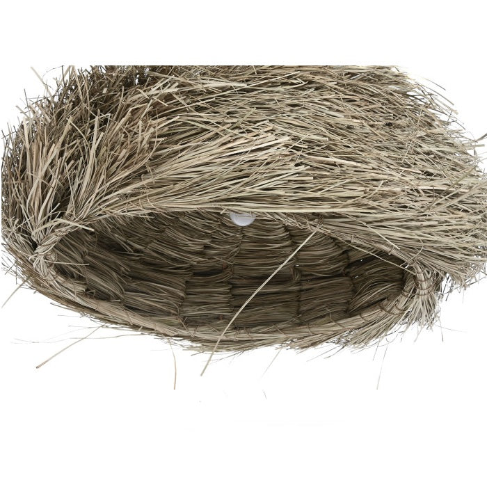 Lampa suspendata ARVADA