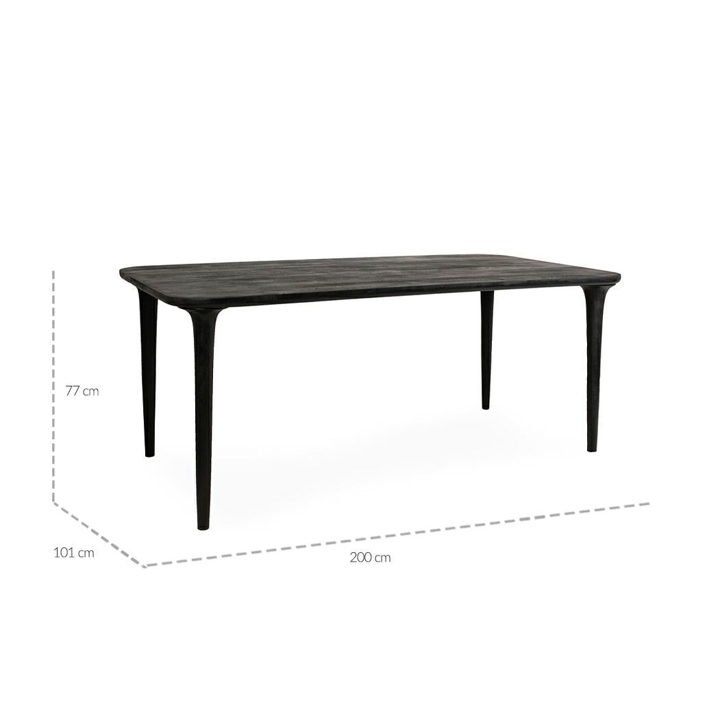 Masa BIASO 200 x 101 CM