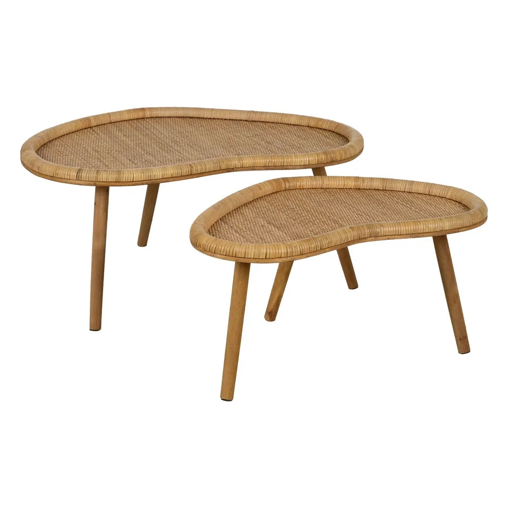 Masuta de cafea BURNABI 77 x 41 x 37 CM