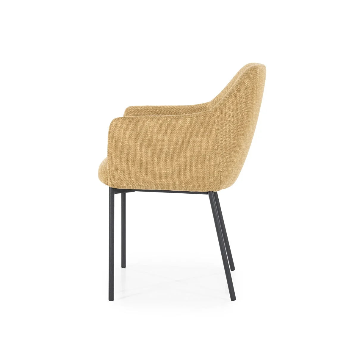 Scaun CAMBRIDGE LINEA
