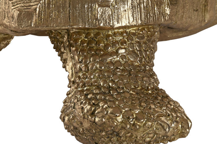 Decoratiune RAVO TORTOISE