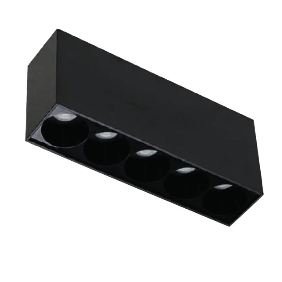 Spot aplicat dimabil LIONS 8W