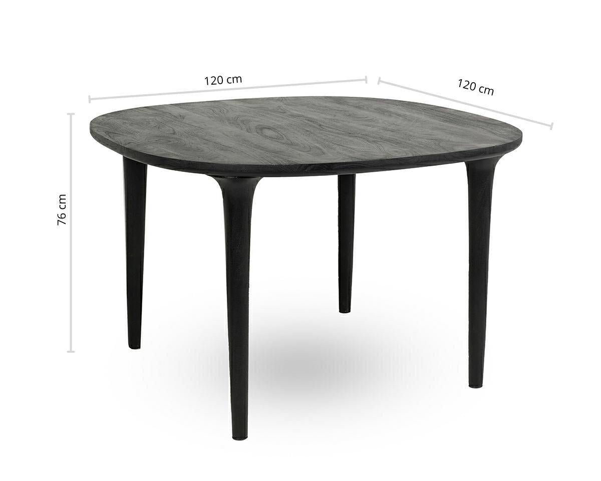 Masa BIASO 120 CM