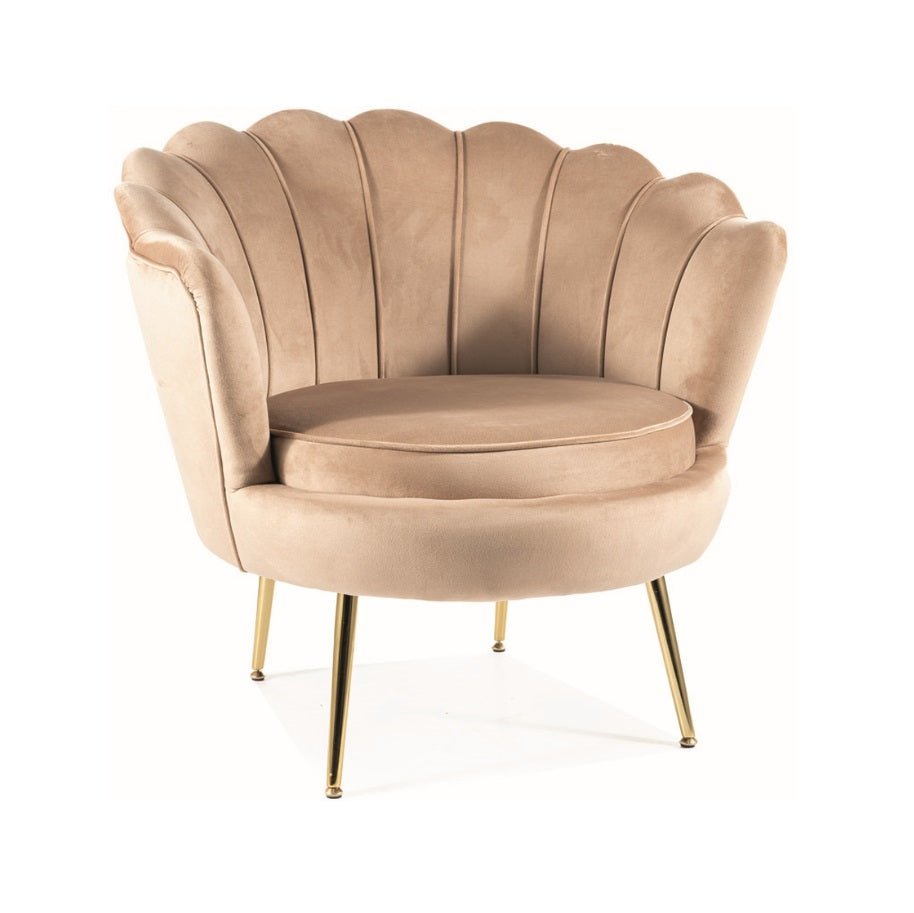 Fotoliu DARLEN VELVET