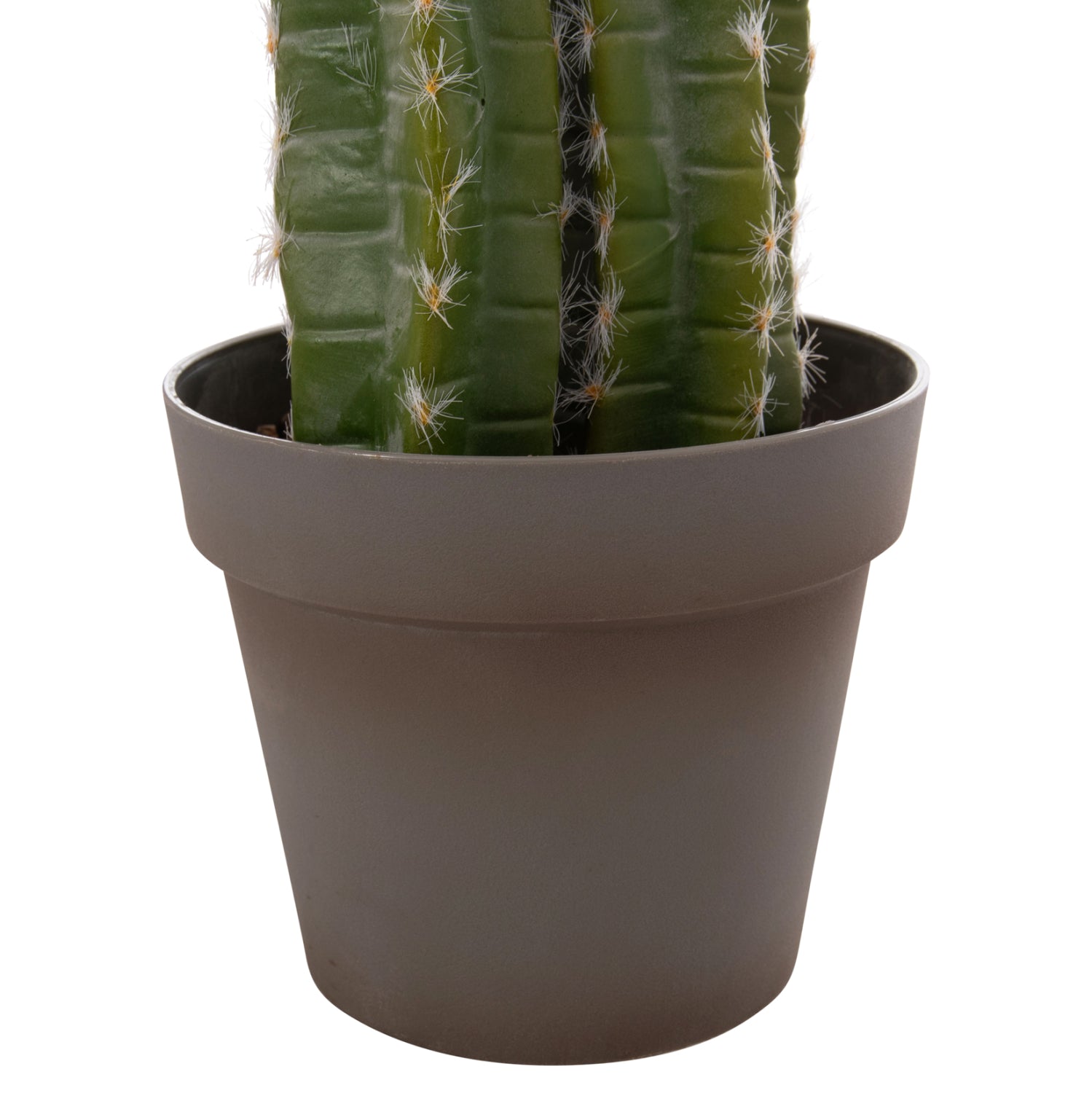 Cactus VEBER 141 CM