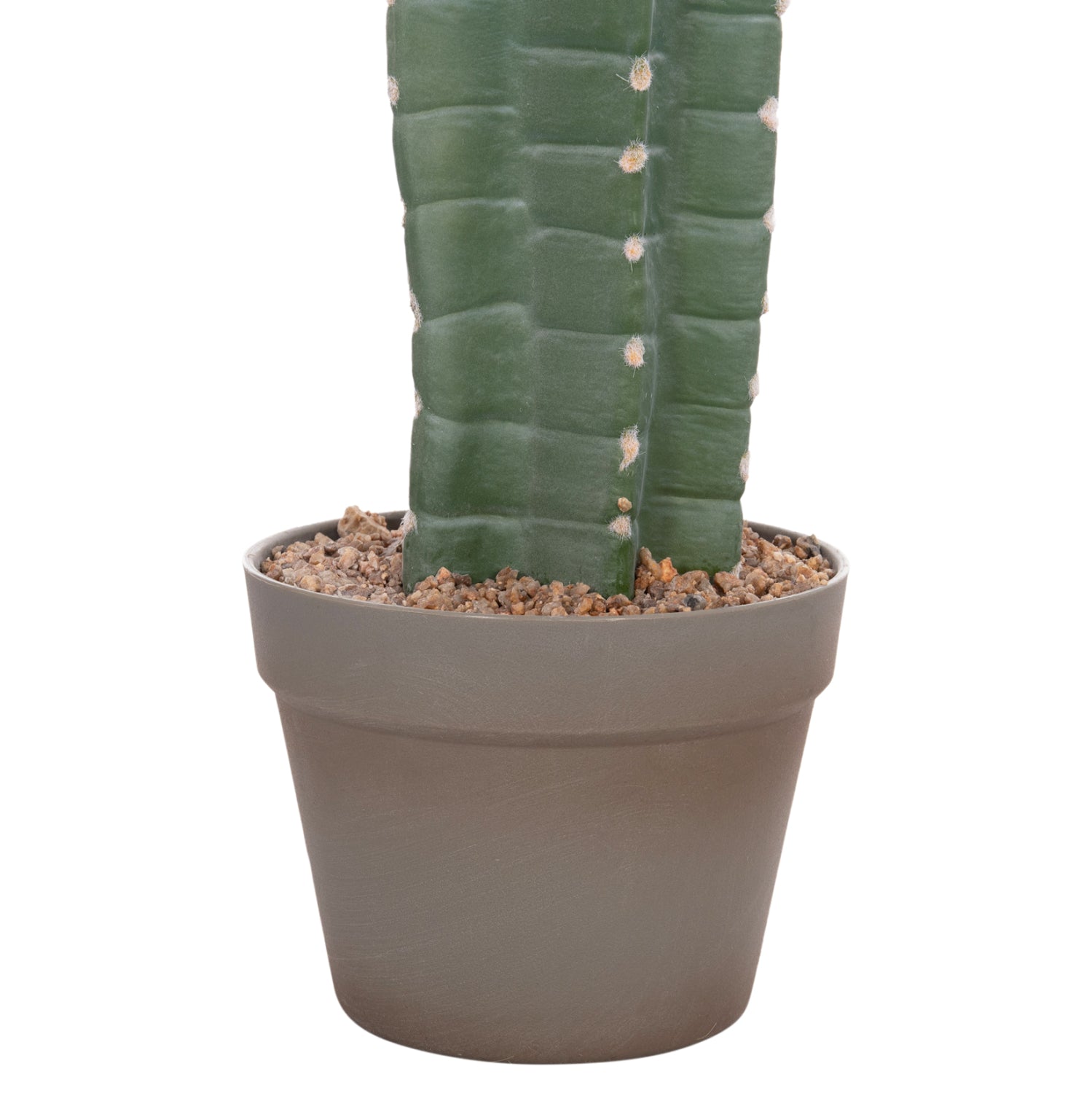 Cactus LETRA 103 CM