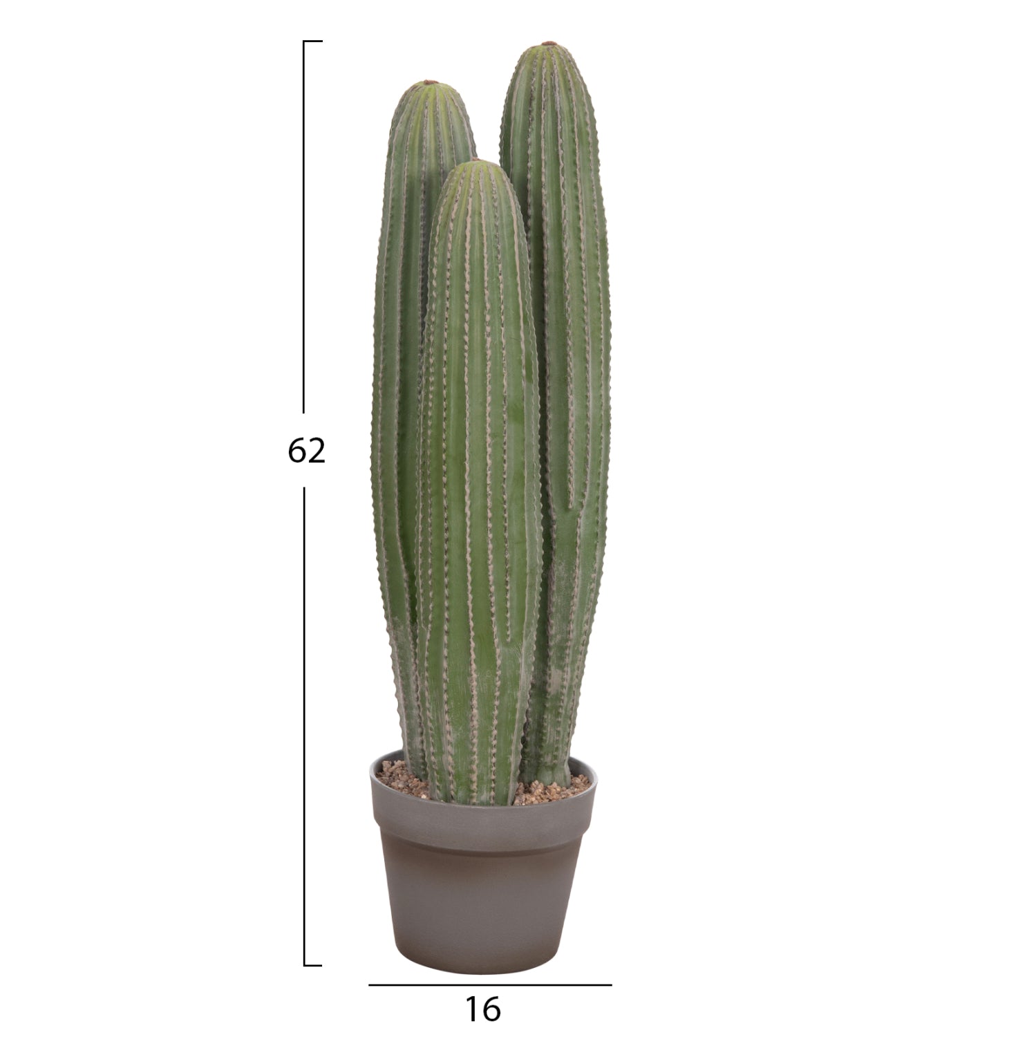 Cactus LELO 62 CM