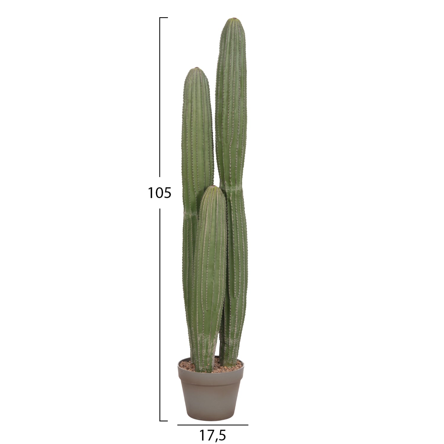 Cactus MARVIN 105 CM