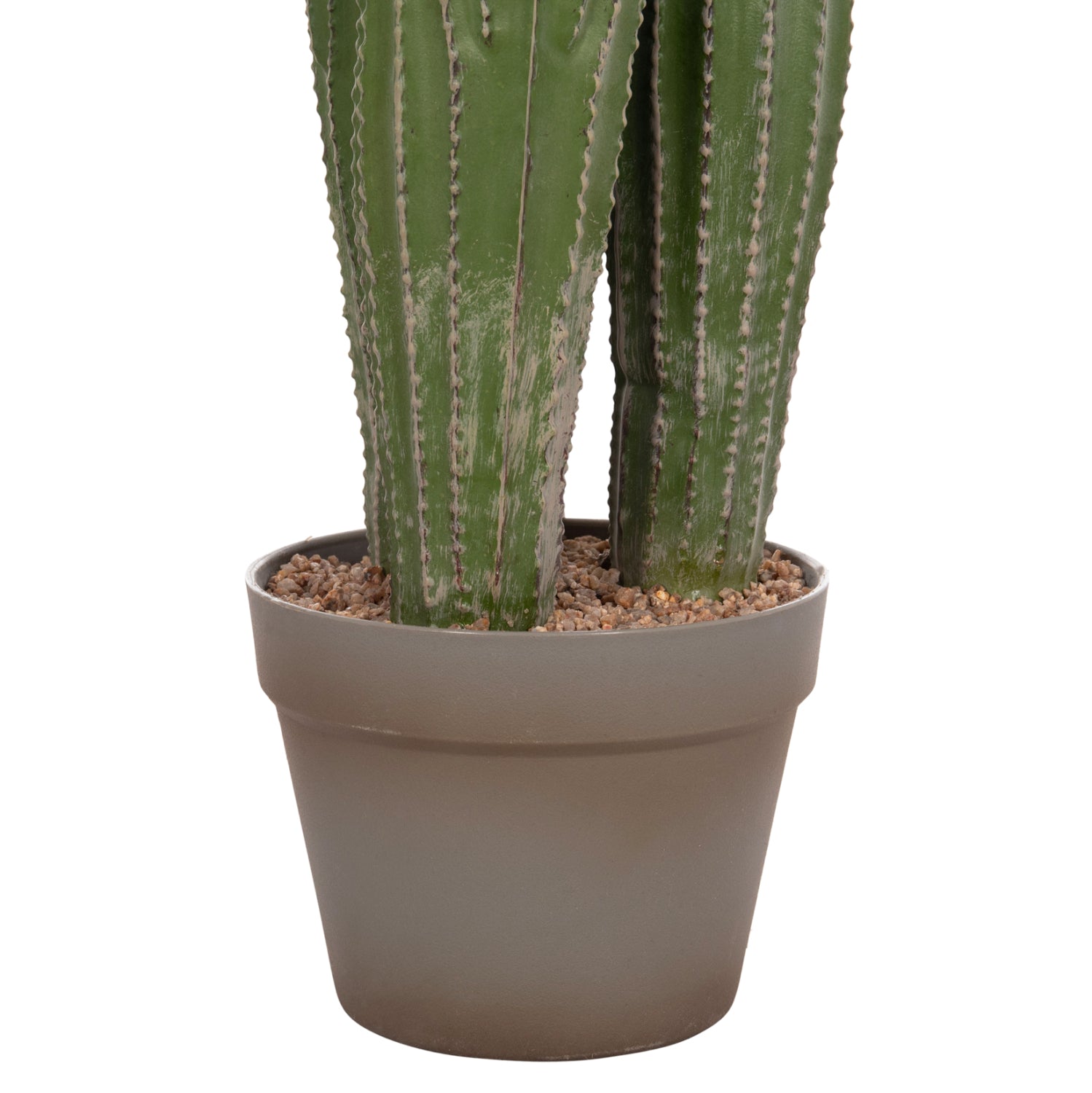 Cactus MARVIN 105 CM