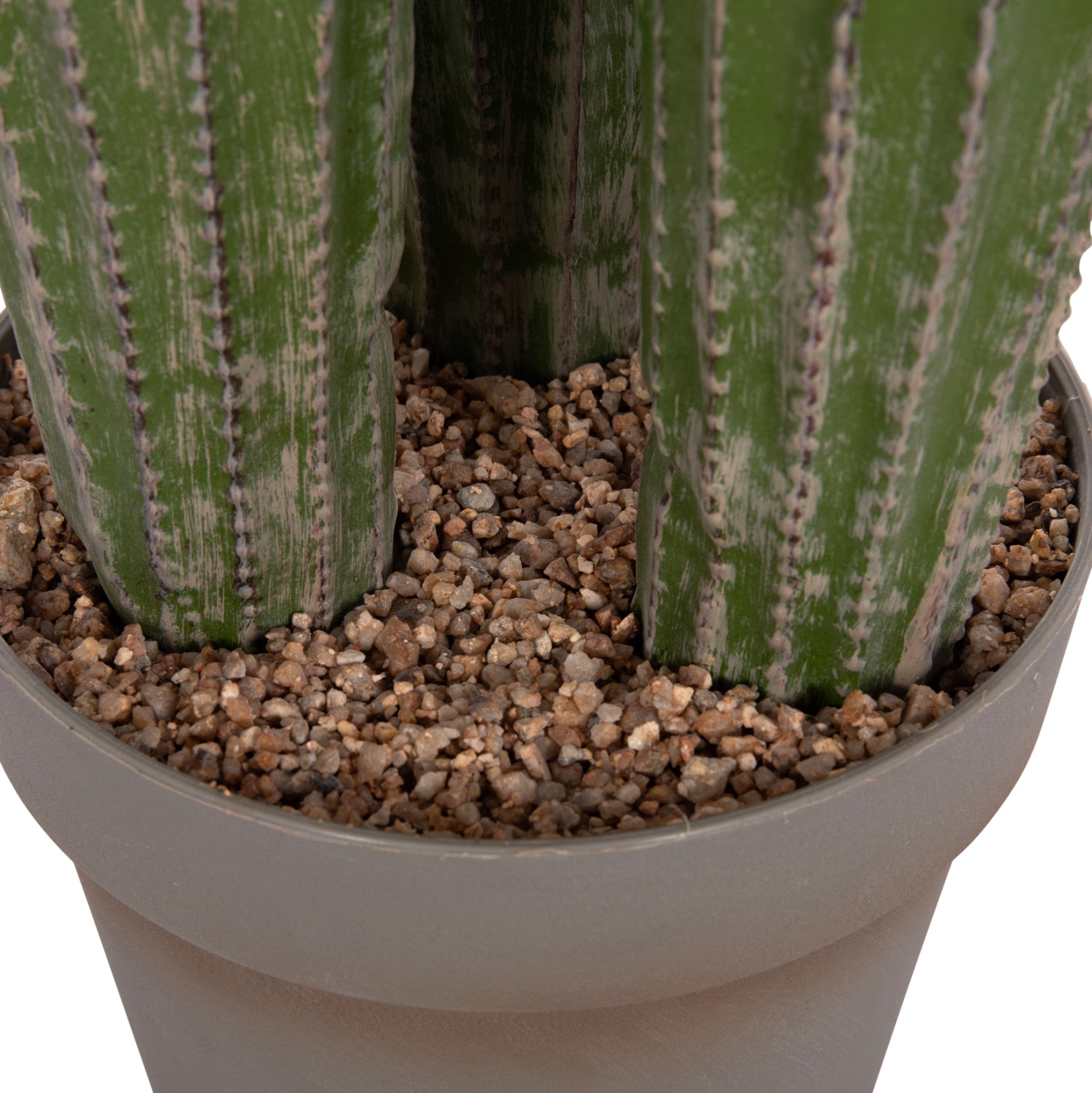 Cactus ARLET 144 CM