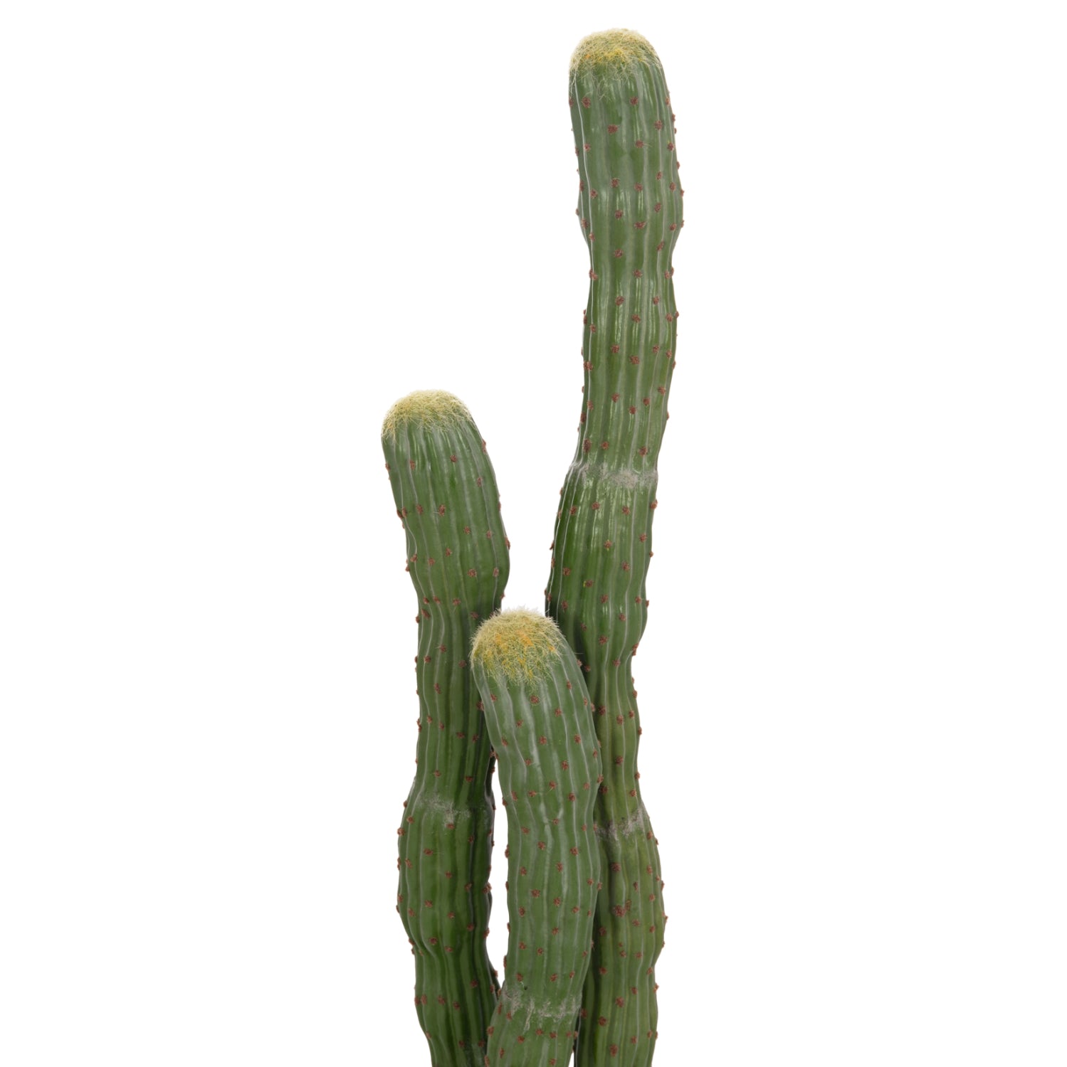 Cactus PIOVRA 115 CM