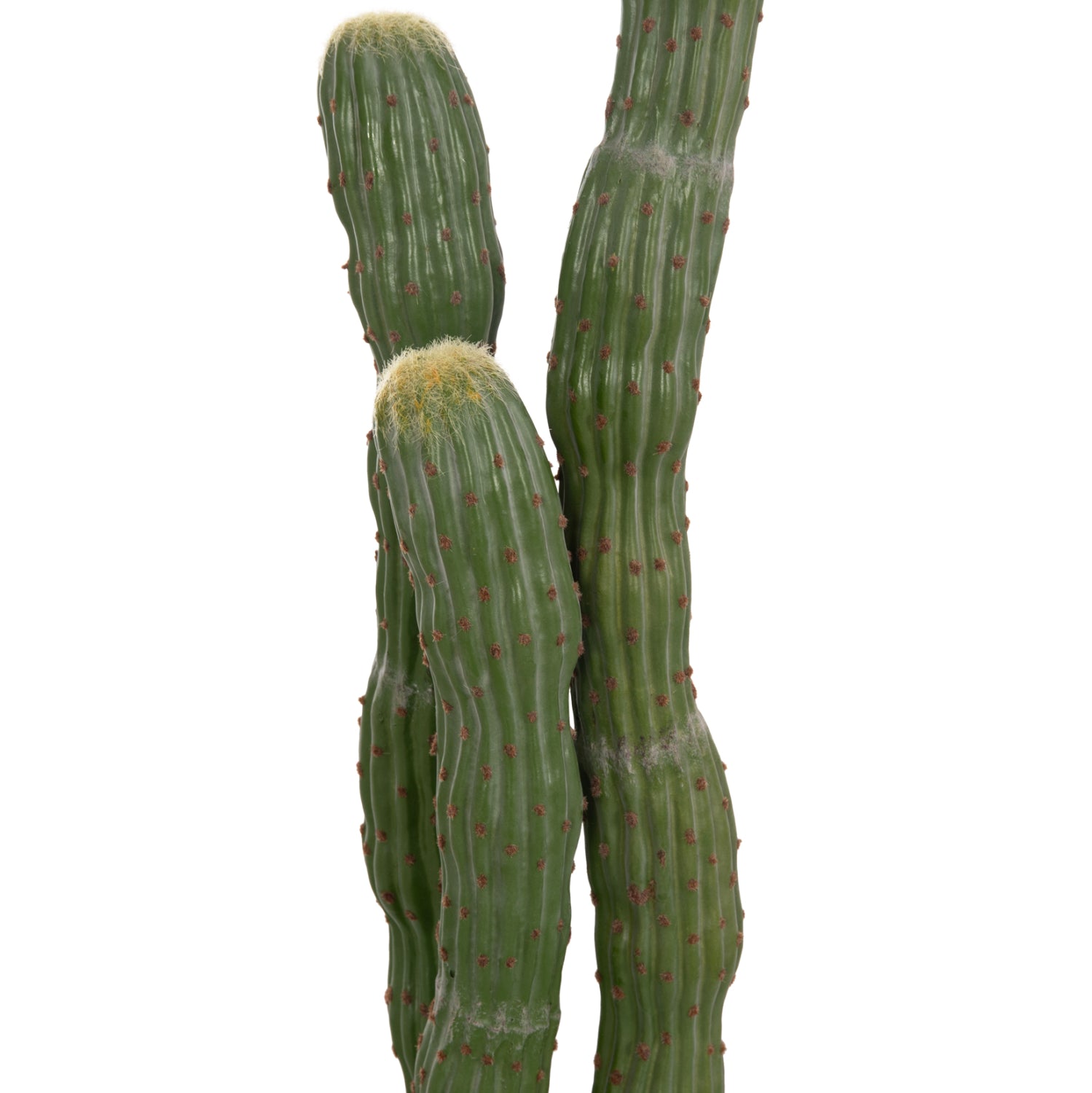 Cactus PIOVRA 115 CM