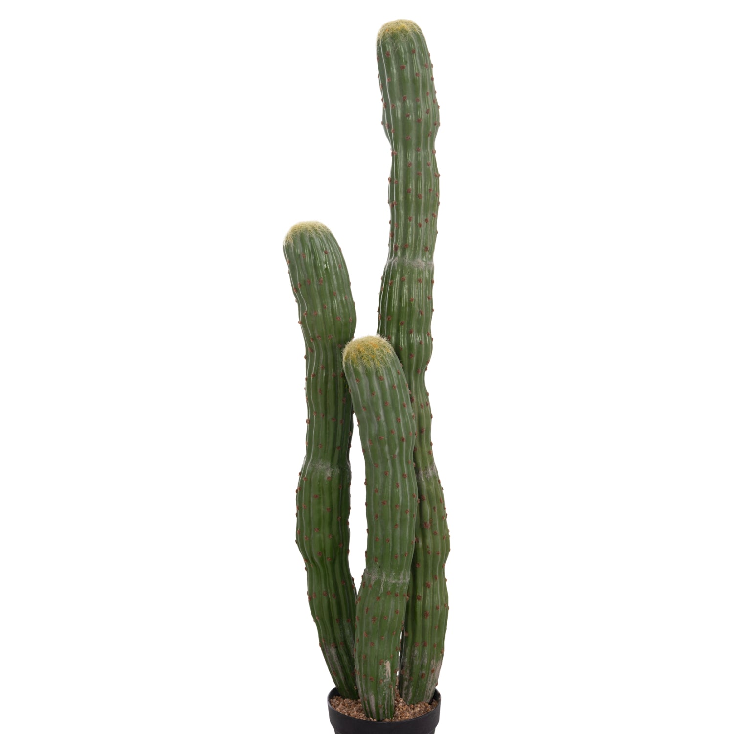 Cactus PIOVRA 115 CM