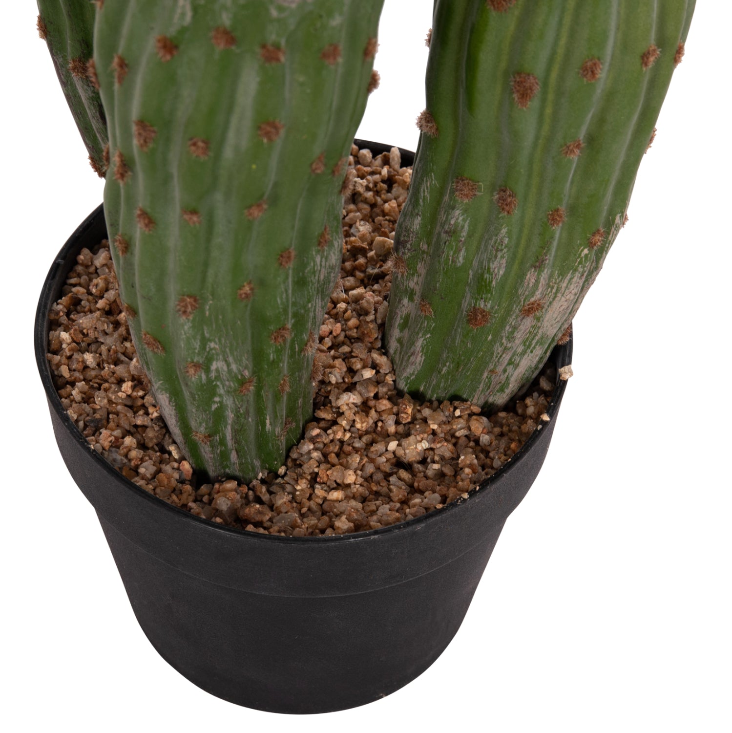 Cactus PIOVRA 115 CM