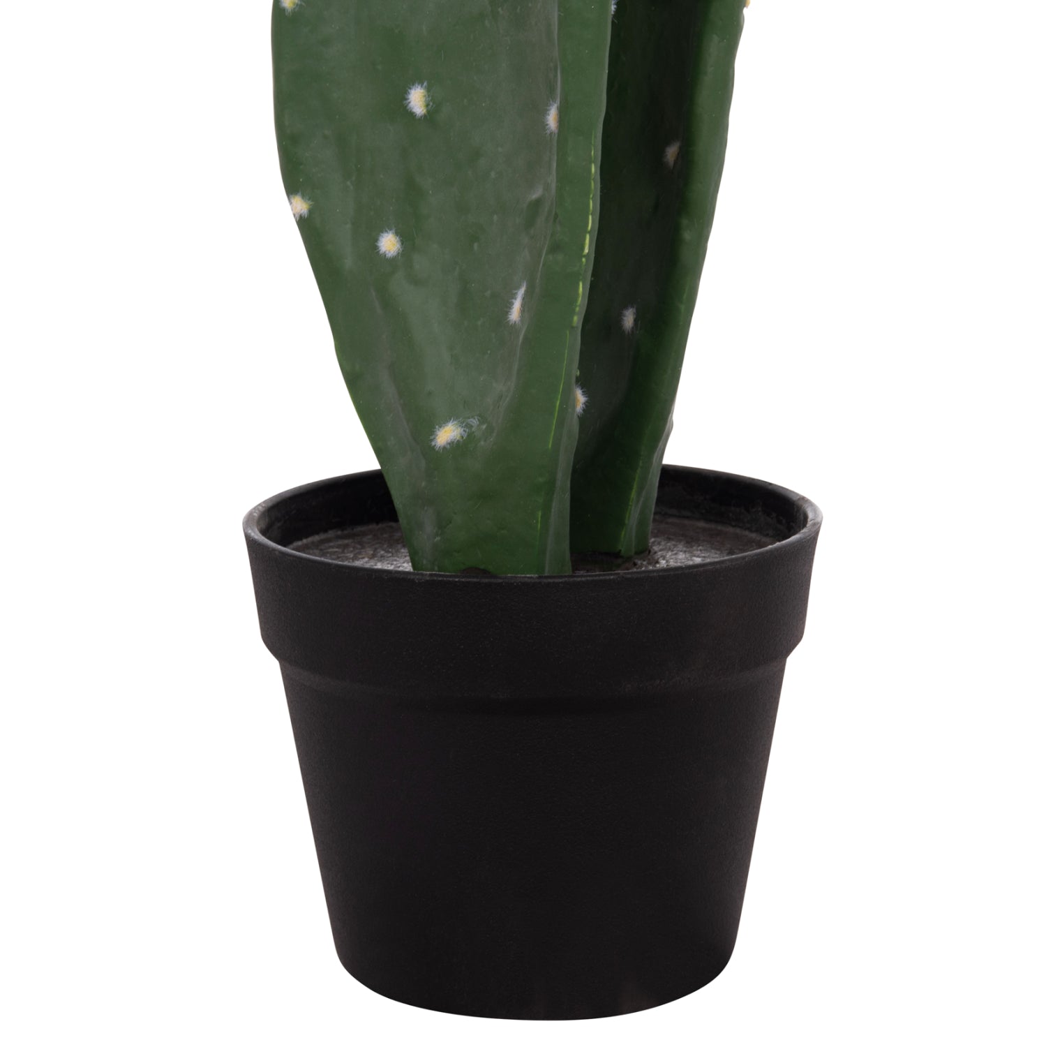 Cactus RUSPA 85 CM
