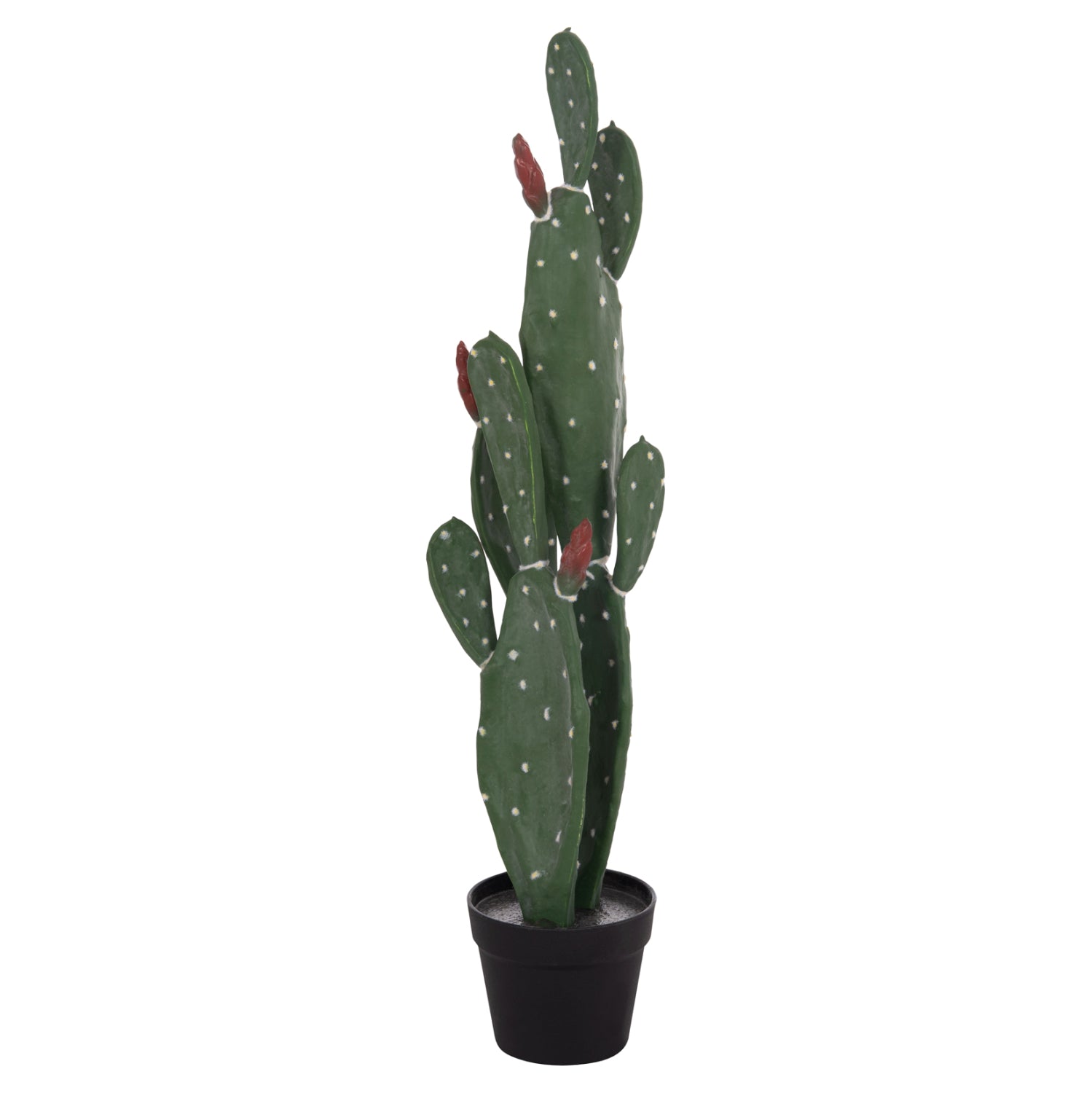 Cactus RUSPA 85 CM