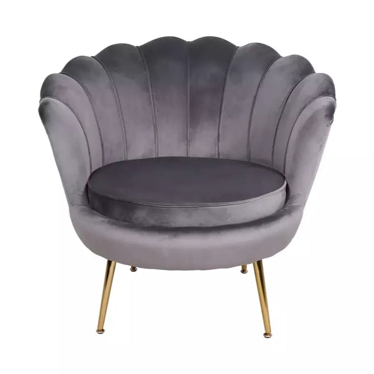 Fotoliu DARLEN VELVET