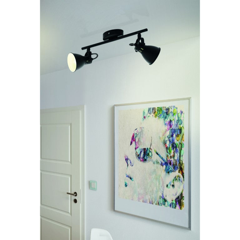 Plafoniera SERAS 1 2L