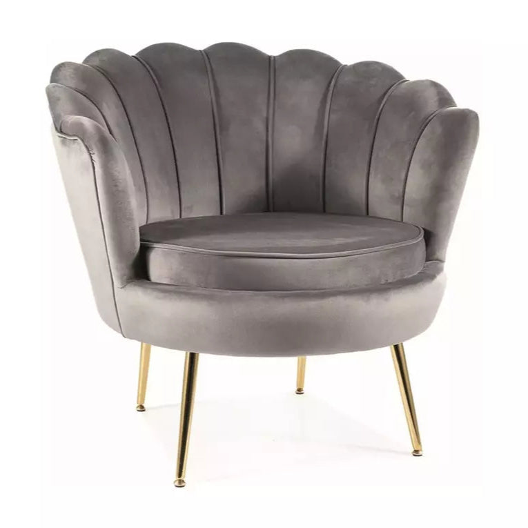 Fotoliu DARLEN VELVET