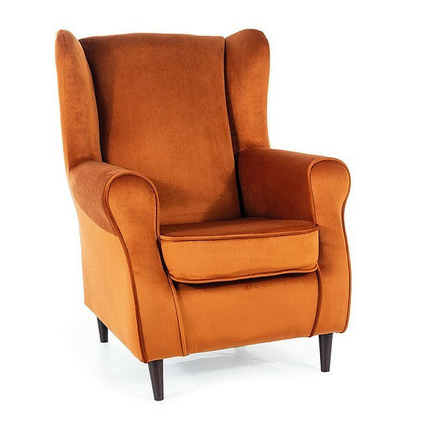 Fotoliu DIONIC VELVET