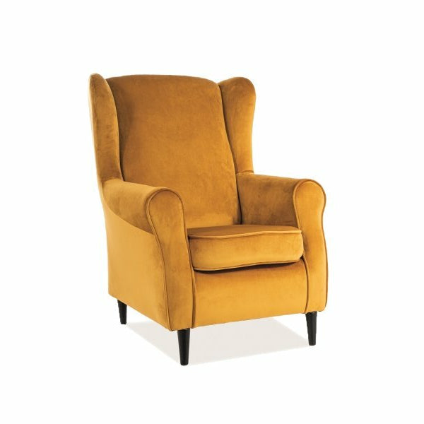 Fotoliu DIONIC VELVET