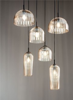 Lamapa suspendata ZORMAN